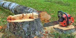 Best Commercial Tree Services  in La Puente, CA