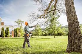 Best Weed Control  in La Puente, CA